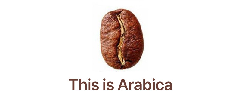 Arabica